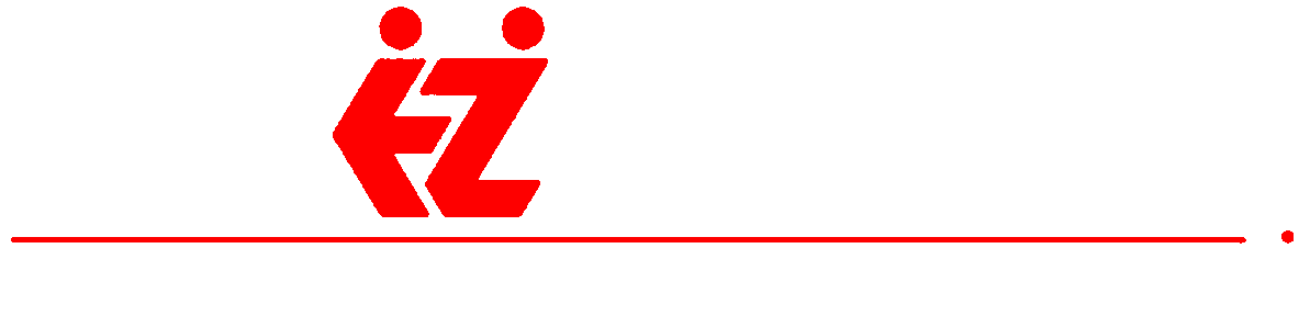 877EZDANCE.com, Your Traveling Dance Consultants